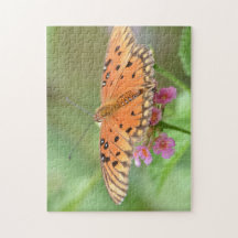 Schmetterling auf einer Blume in einem Park