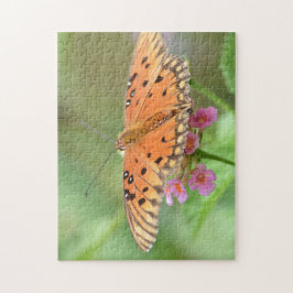 Schmetterling auf einer Blume in einem Park