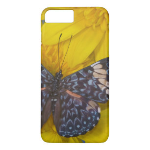 Schmetterling auf einer gelben Blume title_seo2