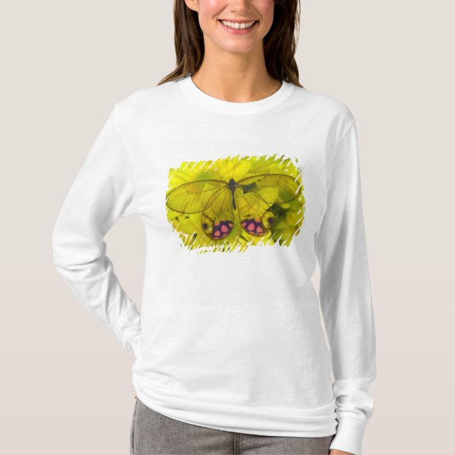 Schmetterling auf Gelb T-Shirt (Vorderseite)