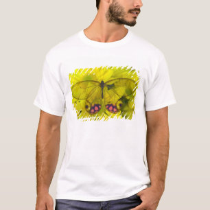 Schmetterling auf Gelb T-Shirt