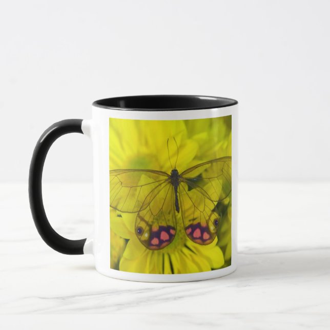 Schmetterling auf Gelb Tasse (Links)