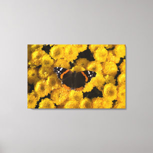 Schmetterling auf gelben Astern Leinwanddruck