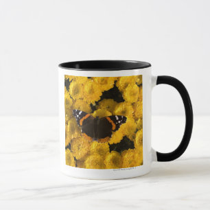 Schmetterling auf gelben Astern Tasse