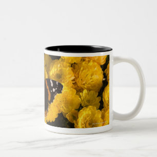 Schmetterling auf gelben Astern Zweifarbige Tasse
