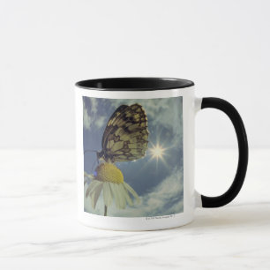 Schmetterling auf Kamillen-Blume mit Sonne, Tasse