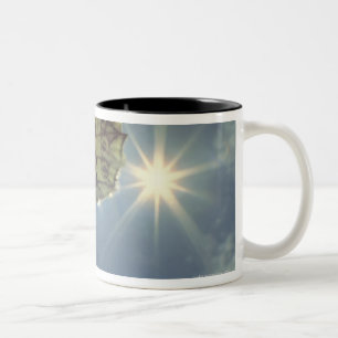 Schmetterling auf Kamillen-Blume mit Sonne, Zweifarbige Tasse