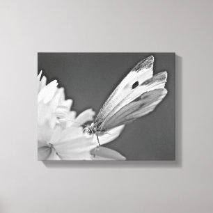 Schmetterling auf Kosmos in Schwarz und Weiß Leinwanddruck