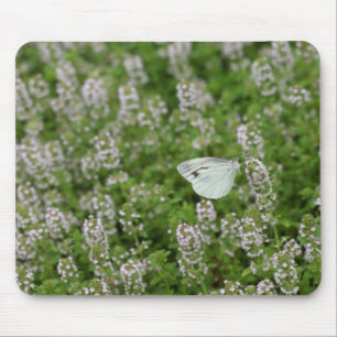 Schmetterling auf kriechendem Thymian Mousepad