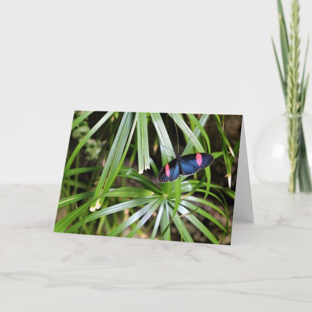 Schmetterling auf Leaf Karte (Vorderseite)
