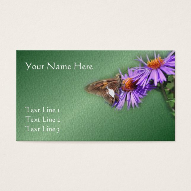 Schmetterling auf Lila Aster-Natur (Vorderseite)
