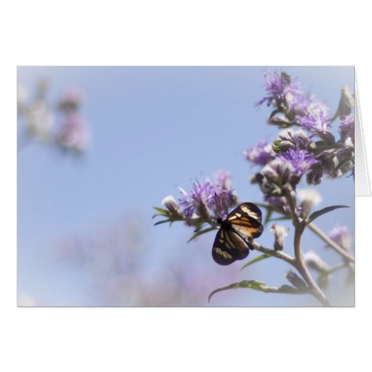 Schmetterling auf lila Blütenniederlassung Karte