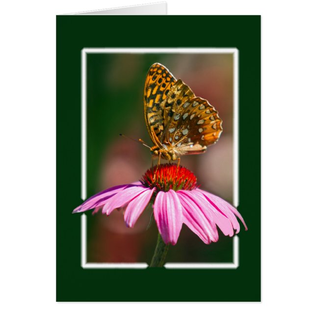 Schmetterling auf Lila Ebene (Vorne)