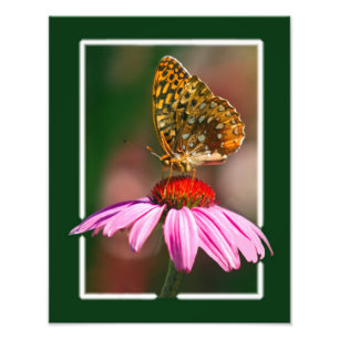 Schmetterling auf Lila Ebene Fotodruck