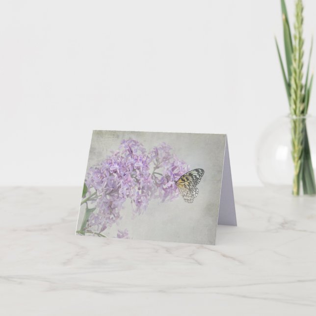 Schmetterling auf lila Lilien Karte (Vorderseite)