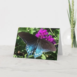 Schmetterling auf lila Verbene-Gruß-Karte Karte