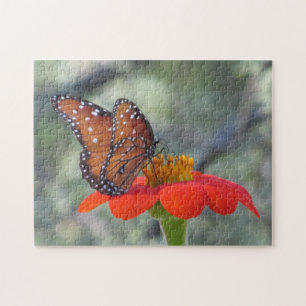 Schmetterling auf mexikanische
