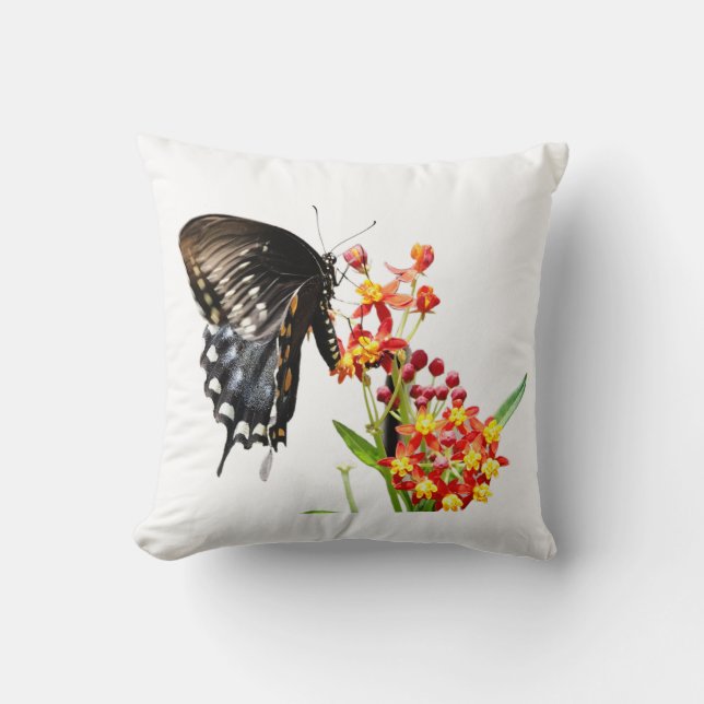 Schmetterling auf Milchwegeblüten, weißes Kissen (Vorderseite)