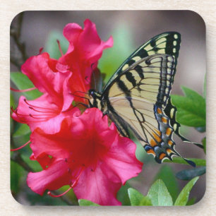 Schmetterling auf rosa Blumen-Untersetzer-Set Untersetzer
