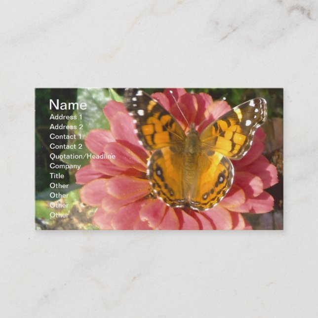 Schmetterling auf rosa Zinnia Visitenkarte (Vorderseite)
