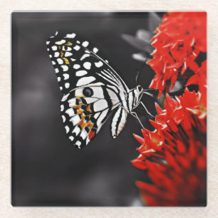 Schmetterling auf roten Blume Glasuntersetzer