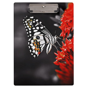 Schmetterling auf roten Blumen Klemmbrett