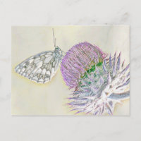 Schmetterling auf roter Blume
