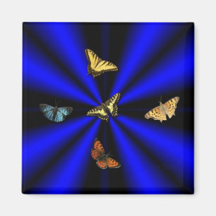 Schmetterling auf schwarzem und blauem Regenbogen Magnet