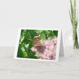 Schmetterling auf See, Sparkasse und Licht Dankeskarte