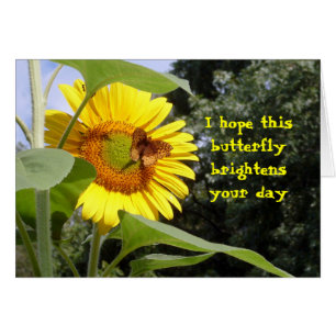 Schmetterling auf Sonnenblume-leerer Karte