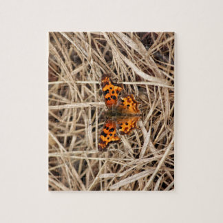 Schmetterling auf Stroh