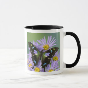 Schmetterling auf Violett Tasse