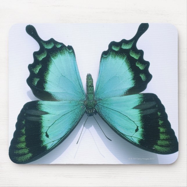 Schmetterling auf weiß mousepad (Vorne)