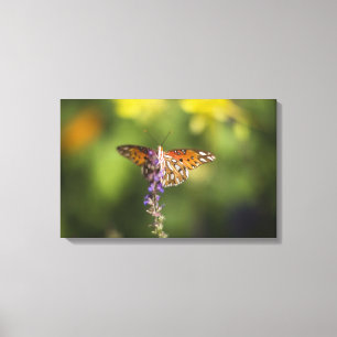 Schmetterling auf Wildblumen Leinwanddruck