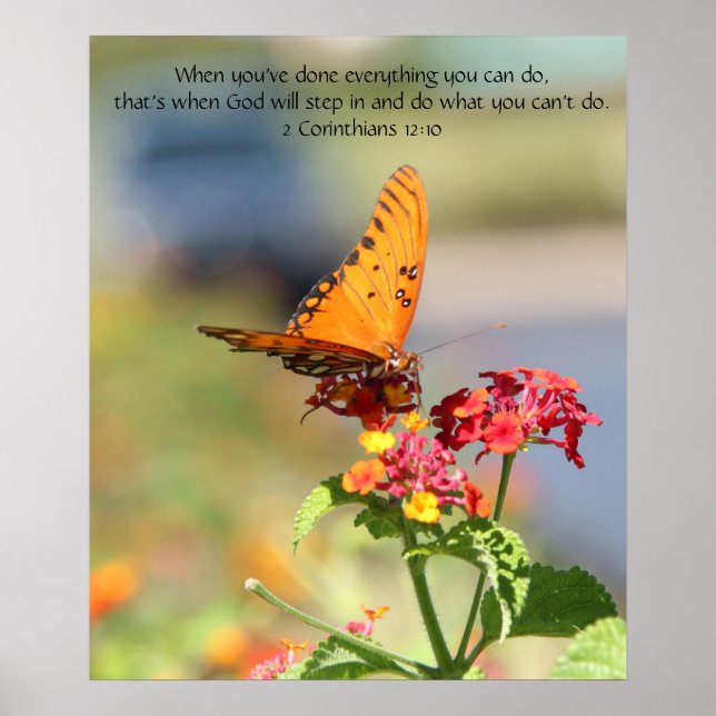 Schmetterling auf Wildblumen, Scripting Verse Poster (Vorne)
