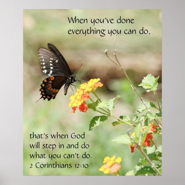 Schmetterling auf Wildblumen, Scripting Verse Poster (Vorne)