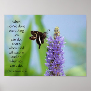 Schmetterling auf Wildblumen, Scripting Verse Poster