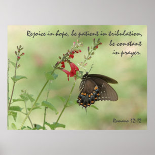 Schmetterling auf Wildblumen, Verse Römer 12:12 Poster
