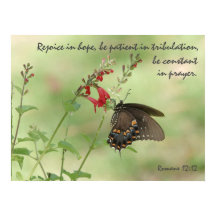 Schmetterling auf Wildblumen, Verse Römer 12:12