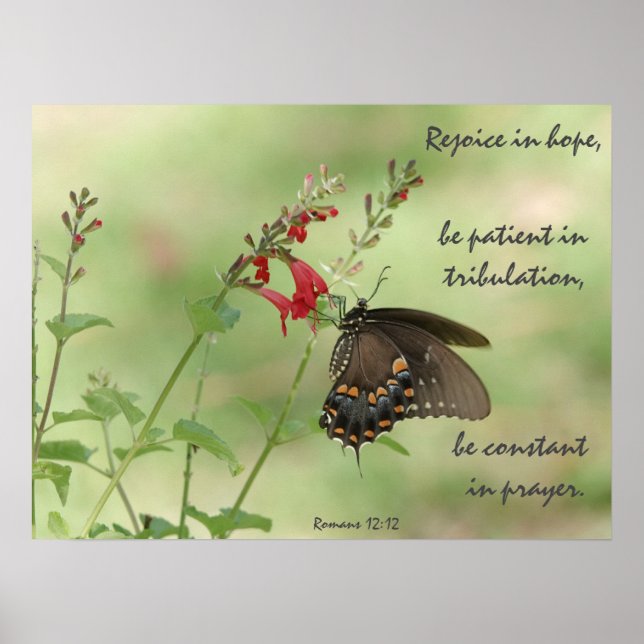 Schmetterling auf Wildblumen, Verse Römer 12:12 Poster (Vorne)