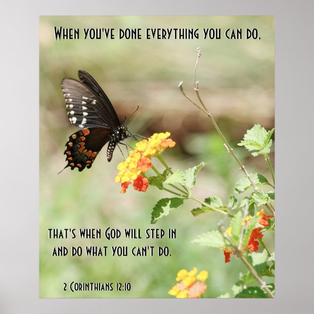 Schmetterling auf Wildblumen, w Corinthians Verse Poster (Vorne)
