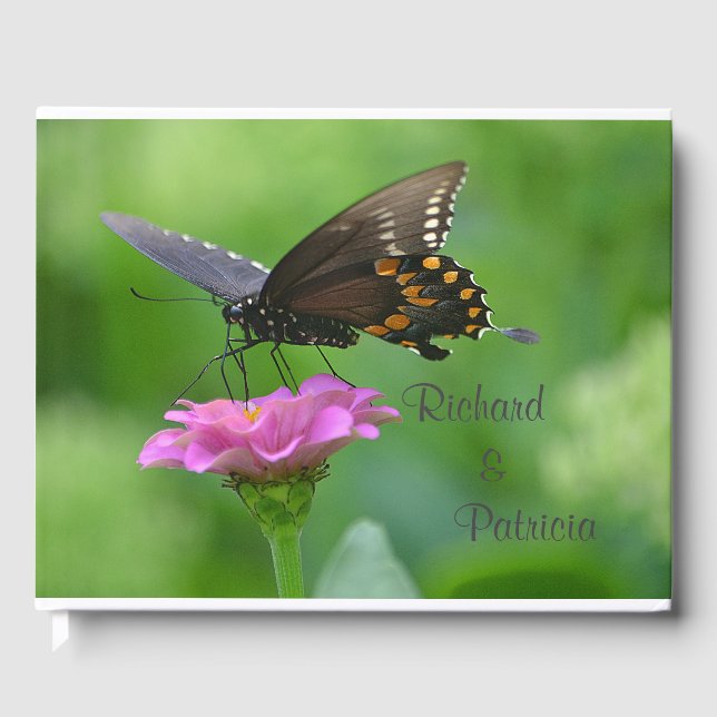 Schmetterling auf Zinnia Gästebuch (Vorderseite)