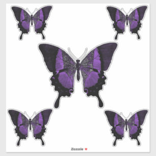Schmetterling Aufkleber