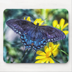 Schmetterling aus schwarzem Frack auf gelben Blume Mousepad