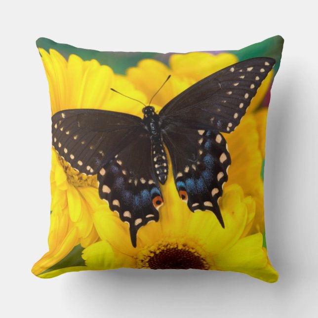 Schmetterling aus schwarzem Frack Kissen (Vorderseite)