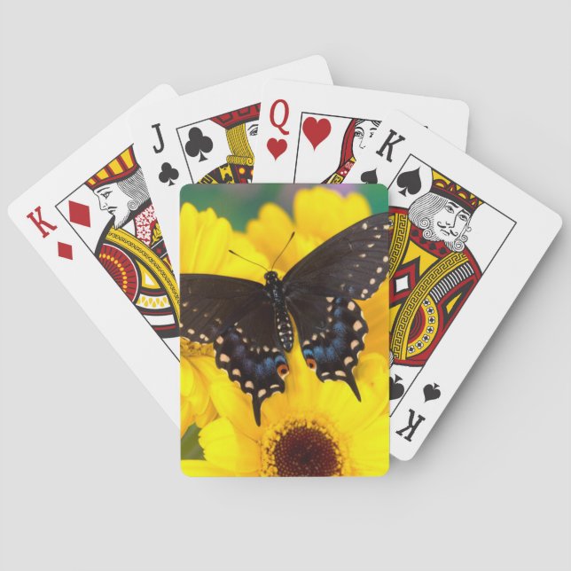 Schmetterling aus schwarzem Frack Spielkarten (Rückseite)