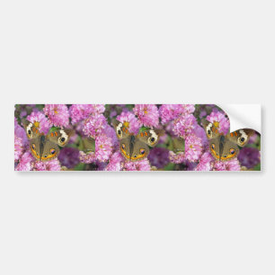 Schmetterling Autoaufkleber