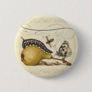 Schmetterling Biene Frucht Insekt Illustration Button