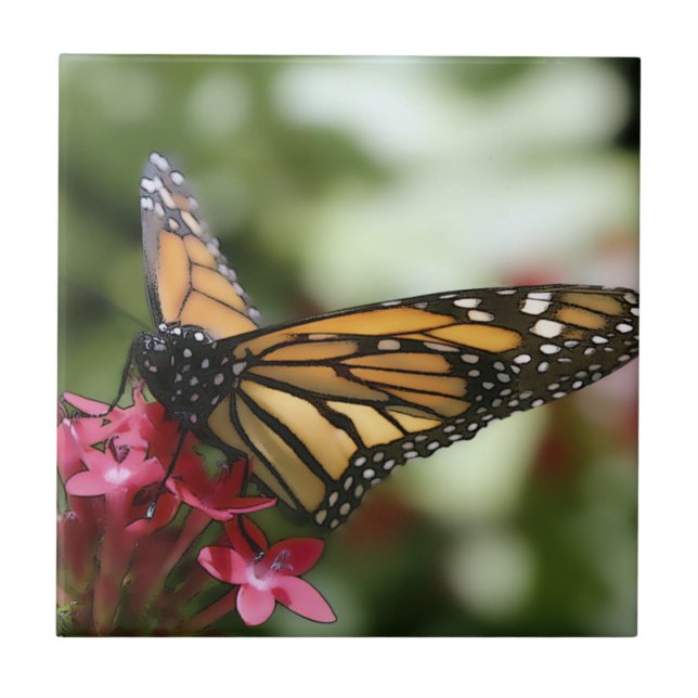 Schmetterling Blume Keramik Fliese (Vorderseite)