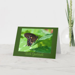 Schmetterling Danke Karte